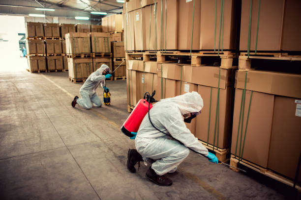 Best Local Pest Control Services  in Maurice, LA