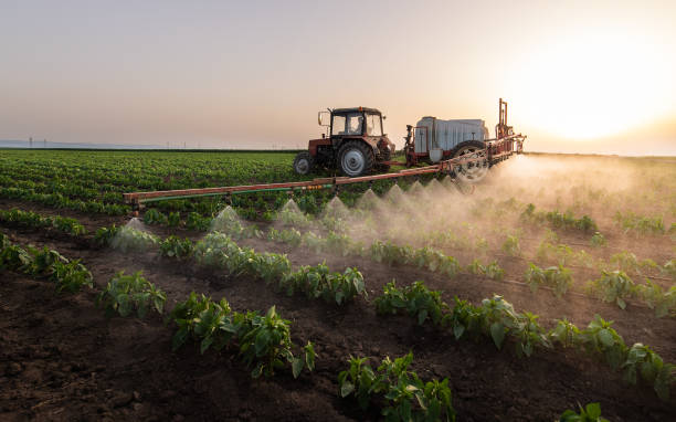 Best Insect Control  in Maurice, LA