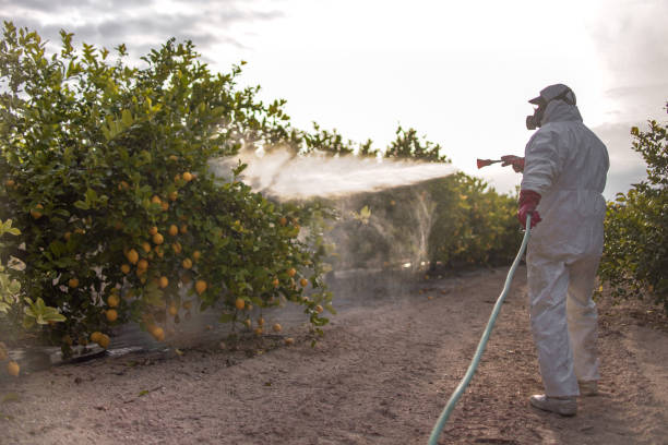 Best Wildlife Control Services  in Maurice, LA