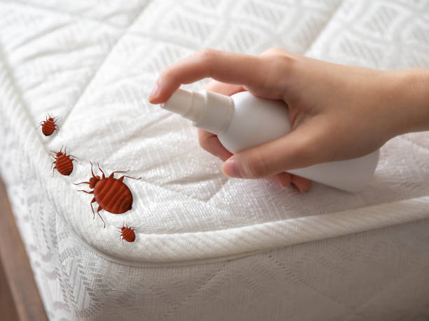Best Affordable Exterminators  in Maurice, LA