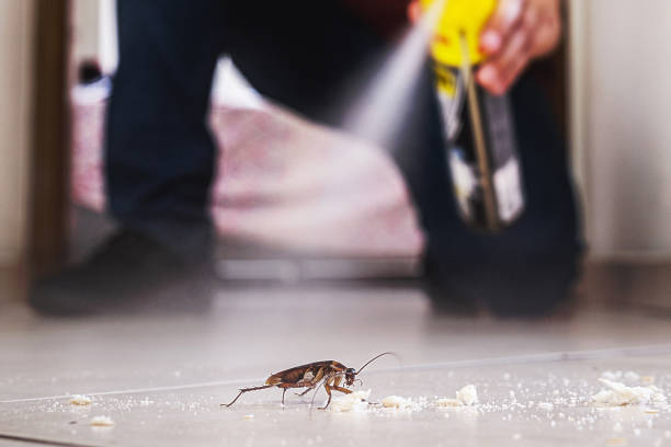Best Cockroach Control Services  in Maurice, LA